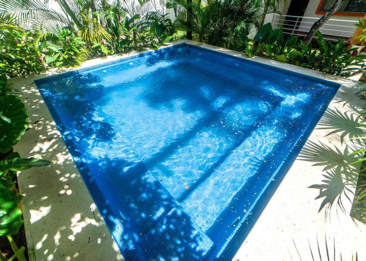 Cancun Airport Condo Hotel Apartment With Pool And Security Exteriör bild